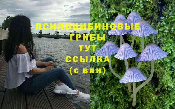кокс Каменногорск