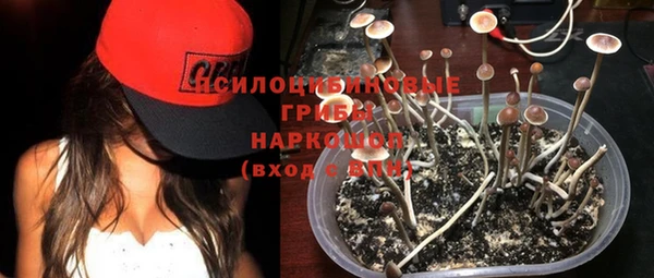 кокс Каменногорск